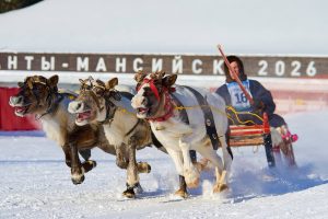 В Ханты-Мансийске прошел XI Конкурс профессионального мастерства среди оленеводов.