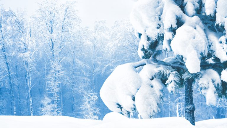 Югру снова накроют аномальные морозы до -36 градусов.