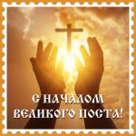 В Пойковском определили сильнейших борцов международного уровня.