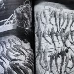 Мошенники предлагают "помощь со списыванием долгов".