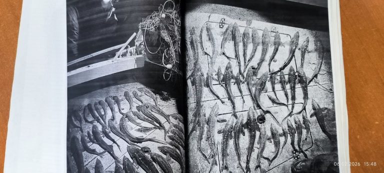 Почти на 18,5 миллионов рублей и 250 часов обязательных работ наловил рыбы житель Нижневартовска.