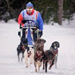 В Югре ввели новую меру поддержки для участников СВО.