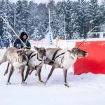 Следователи устанавливают обстоятельства ЧП на АЗС в Сургутском районе.