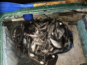 Почти на 18,5 миллионов рублей и 250 часов обязательных работ наловил рыбы житель Нижневартовска.