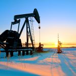 Тюменцы взяли золото и серебро на Кубке России по ездовому спорту