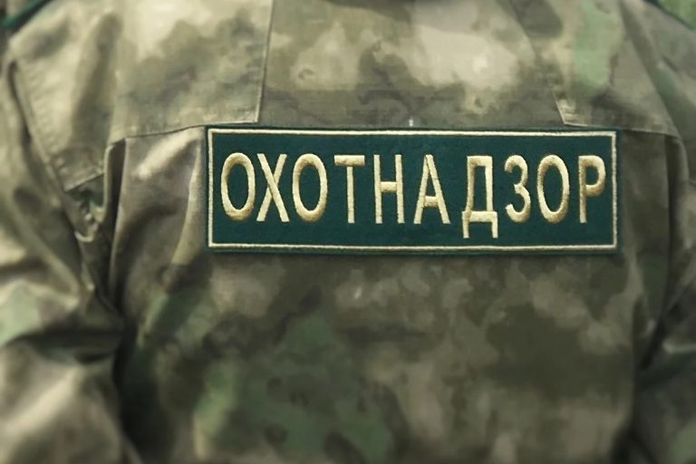 Про Сибирь|В Югре приняли меры по повышению доступности разрешений на охоту.