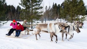 Этно-индустриальный тур «Месторождение ЮГРА» получил статус «Национального туристического маршрута».