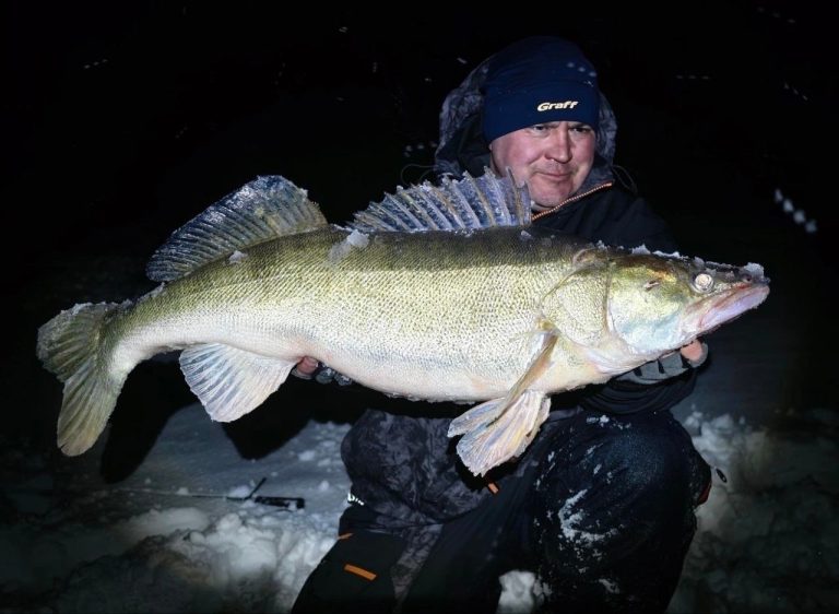 Про Сибирь|Тюменский рыбак поймал судака-гиганта весом почти 9 килограммов.