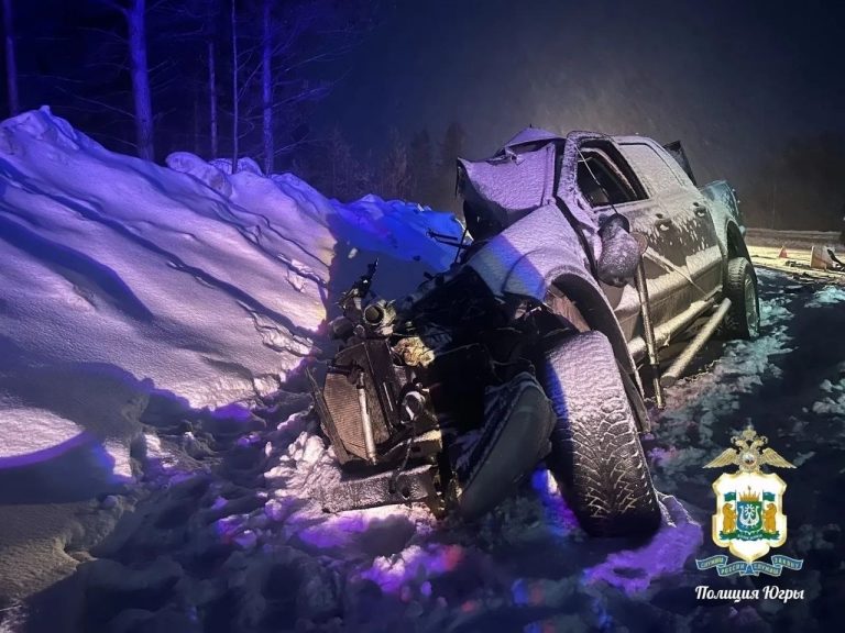 Снятый ночью на заснеженной трассе автомобиль Great Wall поврежден в столкновении, рядом грузовик Газель; на снимке сине-фиолетовые огни служб экстренной помощи, сцепление с сугробами и передний удар по передней части.