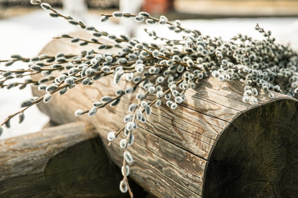 Вербное воскресенье — 5 апреля 2026 года: история праздника и народные приметы.