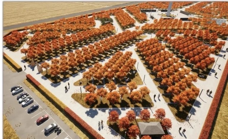 В Нижневартовске планируют создать «Рябиновую аллею» в память о погибших военнослужащих