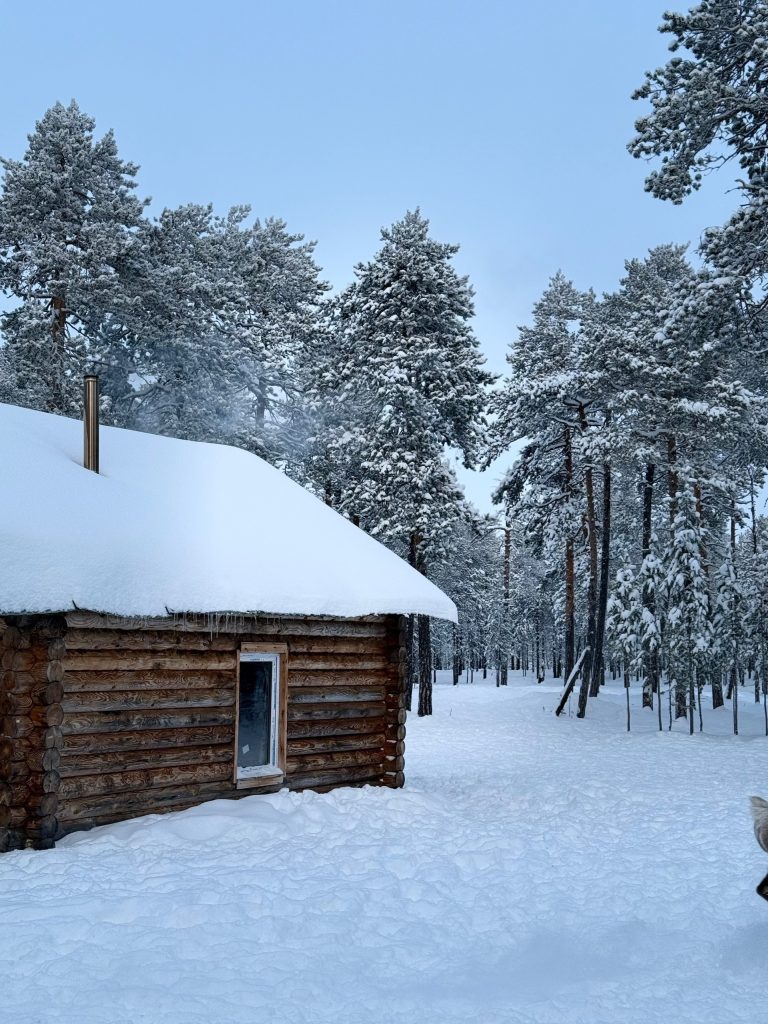 Этнотуризм в Югре: стойбище Сопочиных принимает гостей из разных регионов
