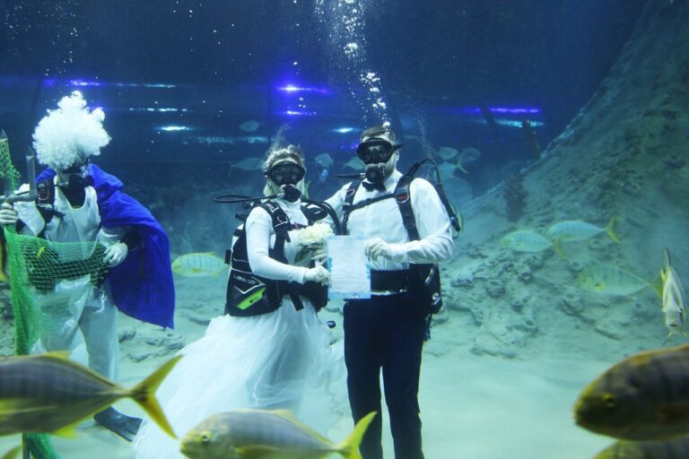 🌊✨ Свадьба на глубине: пара из Югры отметила годовщину под водой!