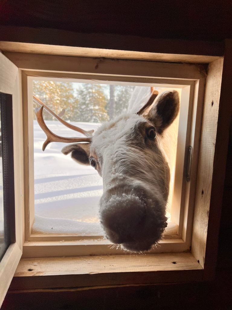 Этнотуризм в Югре: стойбище Сопочиных принимает гостей из разных регионов