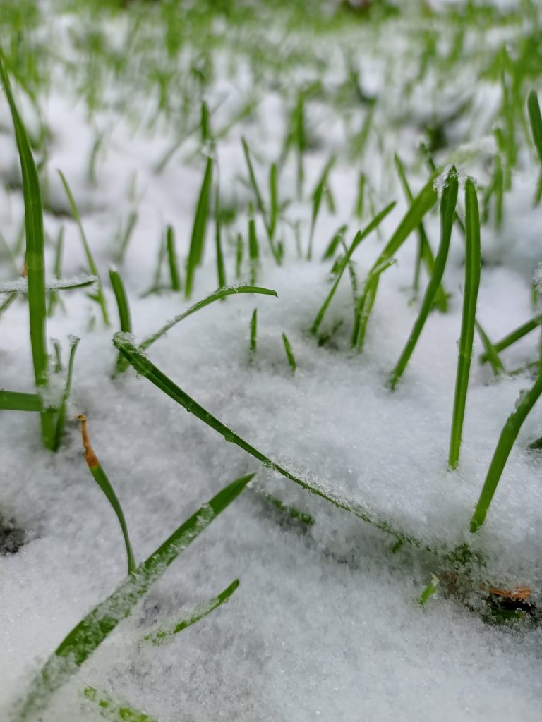 ❄️Морозы и снег возвращаются в ХМАО: прогноз погоды на ближайшие дни❄️