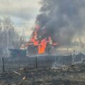 Бездомные собаки напали на ребенка в Нижневартовске Бездомные собаки напали на ребенка в Нижневартовске