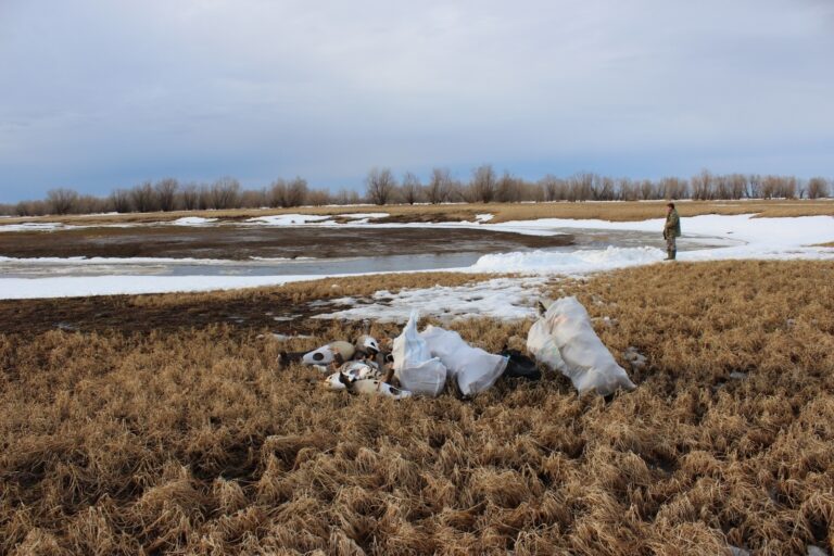 Трагедия на охоте в Березовском районе: возбуждено уголовное дело