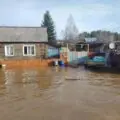 Лесные пожары в Югре распространились на территорию более 7400 гектаров