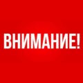 В городах Югры стартует обработка от комаров и клещей
