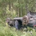 Паводок в ХМАО: несмотря на спад воды в Оби, затоплено уже 489 приусадебных участков