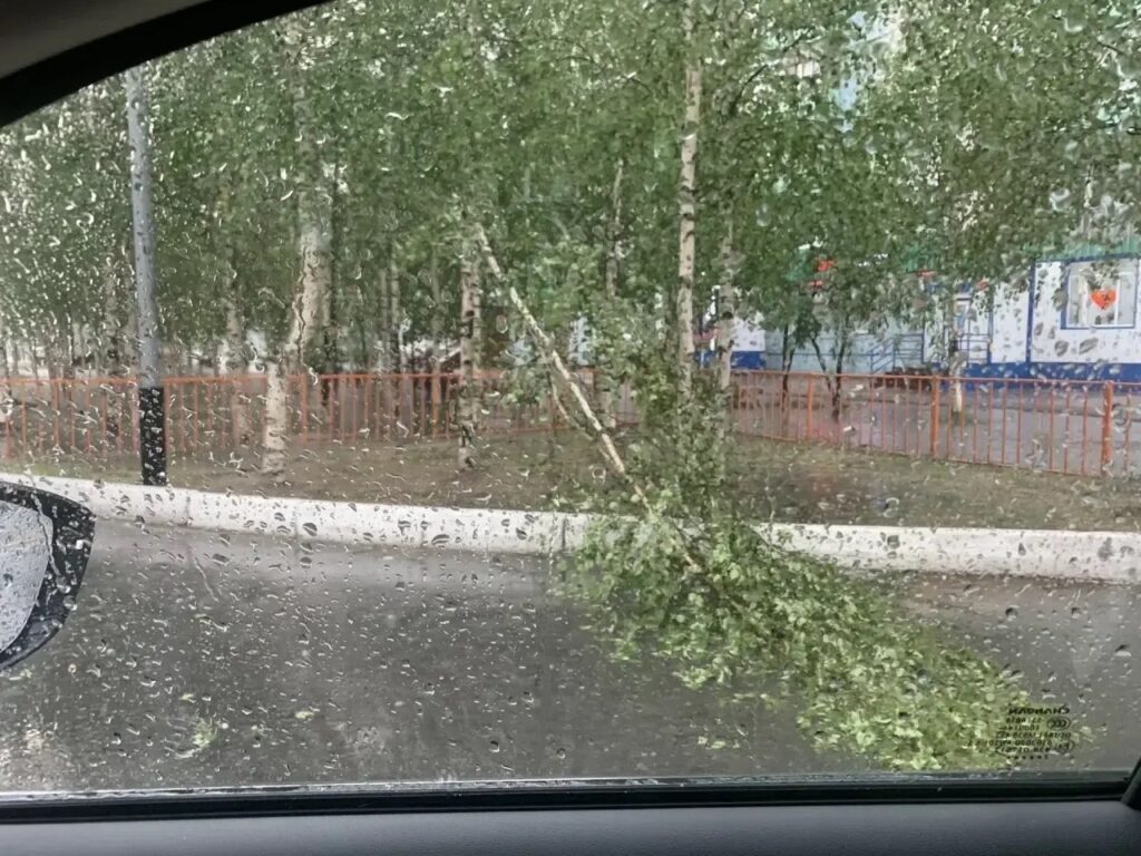 Ливень, град и поваленные деревья: что произошло в Радужном (ХМАО)