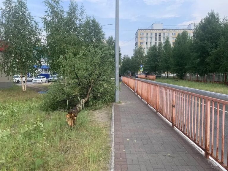 Ливень, град и поваленные деревья: что произошло в Радужном (ХМАО)