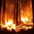 Благодаря дымовому извещателю многодетная семья в Мегионе успела покинуть горящий дом
