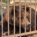 Фиктивная регистрация ради надбавки: пенсионер незаконно получил 600 тысяч и получил штраф