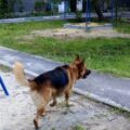За минувшие выходные на водных объектах Югры зафиксировано четыре серьёзных происшествия