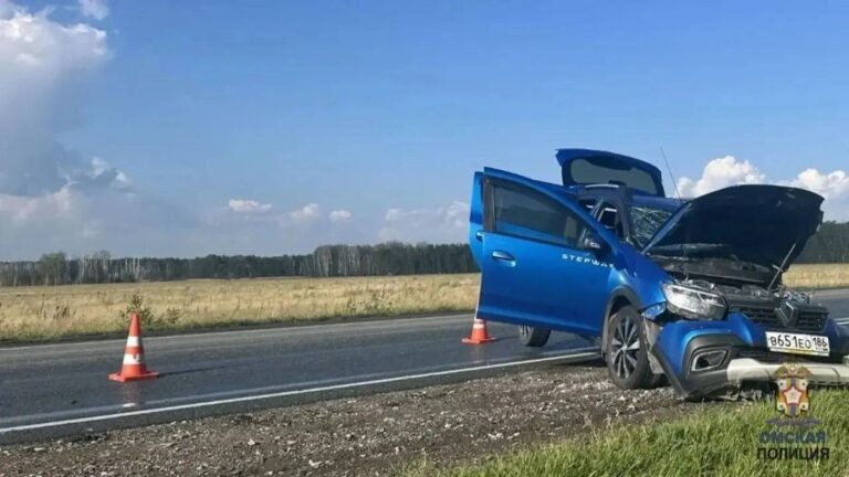 Про Сибирь|Югорская семья в ДТП на трассе Тюмень — Омск женщина‑водитель погибла двое детей в больнице