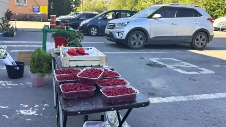 В Сургуте борются с незаконной уличной торговлей: проходят масштабные рейды! В Сургуте борются с незаконной уличной торговлей: проходят масштабные рейды!