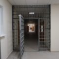 В Кондинском районе с женщины взыскали 80 000 рублей за гибель лося в ДТП
