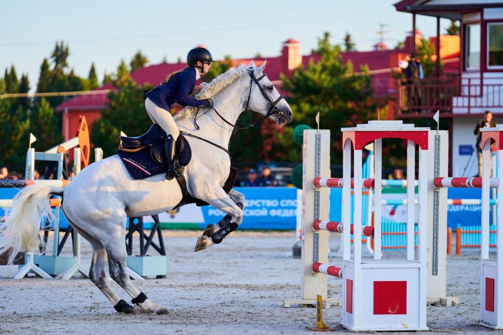 Кубок Губернатора Югры по конкуру: более 150 спортсменов, 65 комплектов наград и призовой фонд 9,75 млн рублей! Кубок Губернатора Югры по конкуру: более 150 спортсменов, 65 комплектов наград и призовой фонд 9,75 млн рублей!