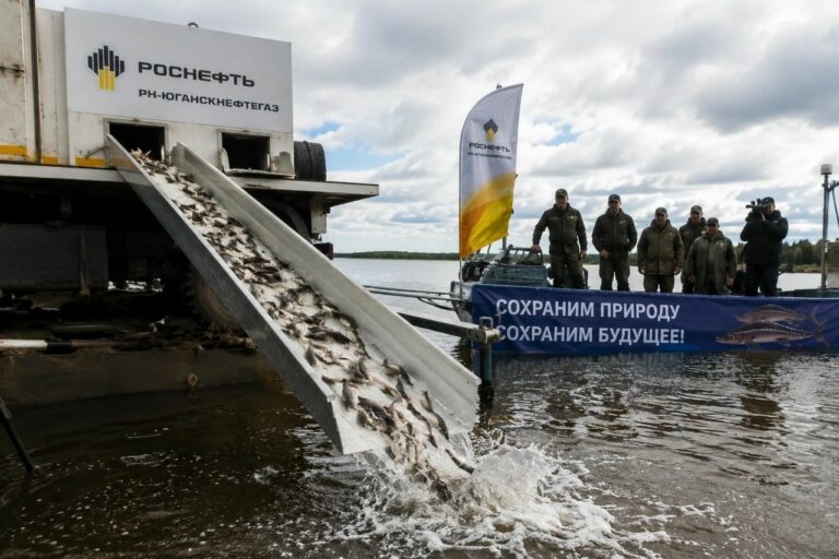 26 миллионов мальков выпущены в Обь и Иртыш - «РН‑Юганскнефтегаз» провёл масштабное зарыбление