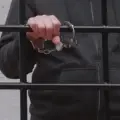Сезон кедрового ореха в Югре открыт: где собирать, какие правила соблюдать и чем грозят нарушения