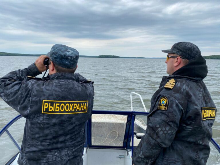 Браконьеры против природы: в Югре подвели итоги операции по защите биоресурсов
