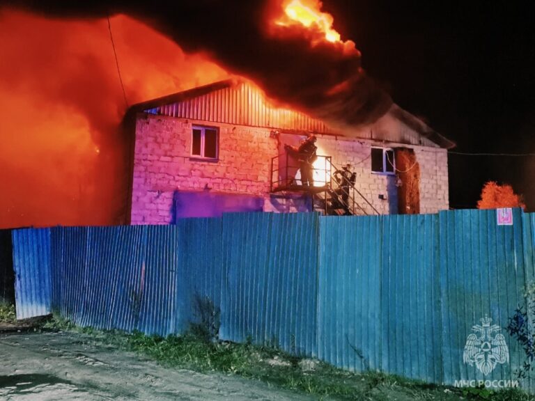 В Сургуте пожарные МЧС Югры ликвидировали крупное возгорание в СОТ «Сосновый бор»
