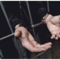 В Лангепасе медики спасли мужчину с анафилактическим шоком после укусов ос