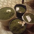 Избирком Югры утвердил итоги голосования Избирком Югры утвердил итоги голосования