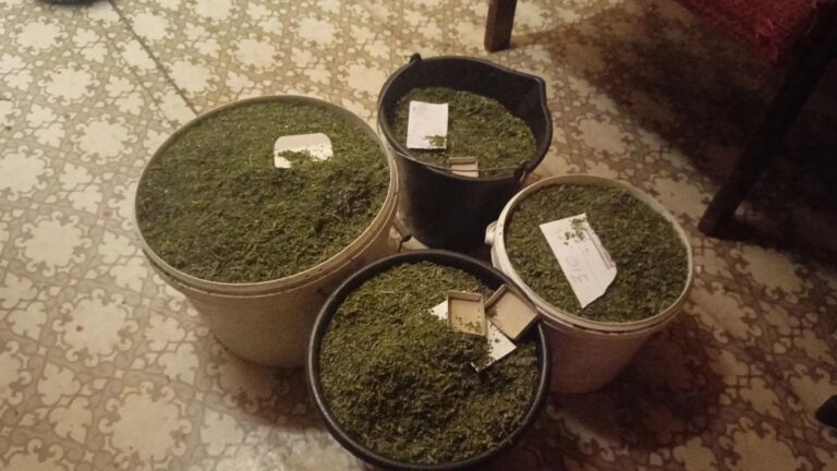 В Сургуте задержали дачника с крупной партией наркотиков