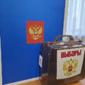 Медведи в ХМАО: когда дикие звери выходят к людям и как себя обезопасить