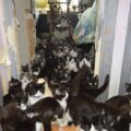 Почти 6800 телемедицинских консультаций провели в Мегионской больнице