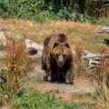 Детский хирург из Сургута помогла пассажирам на борту самолета